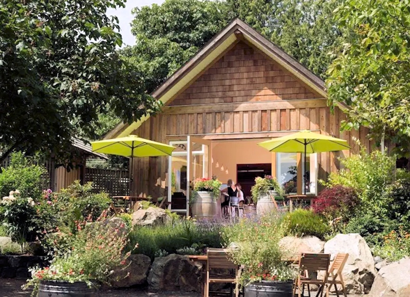 symphonyvineyard